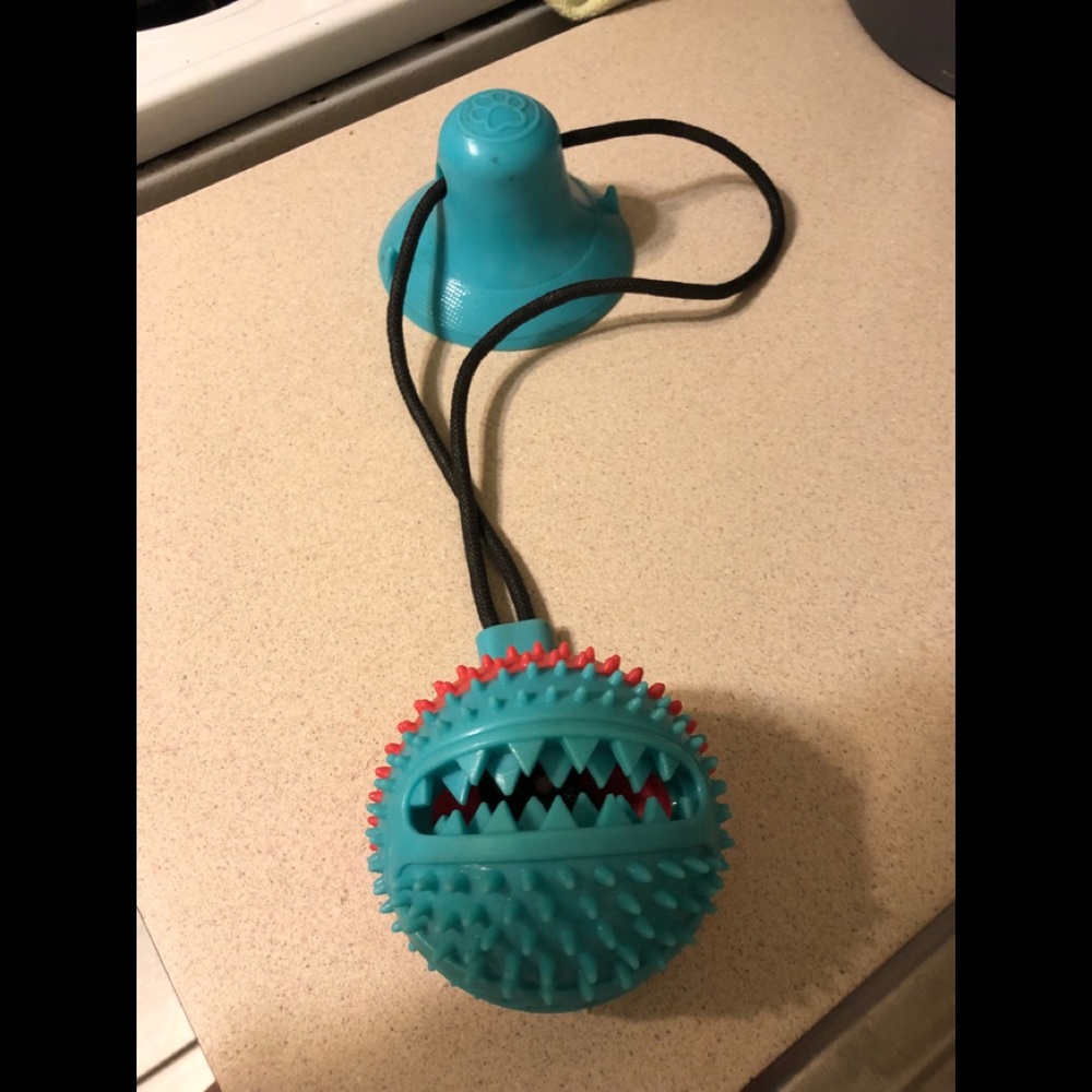 Excellent Condition Dog Interactive Toy
